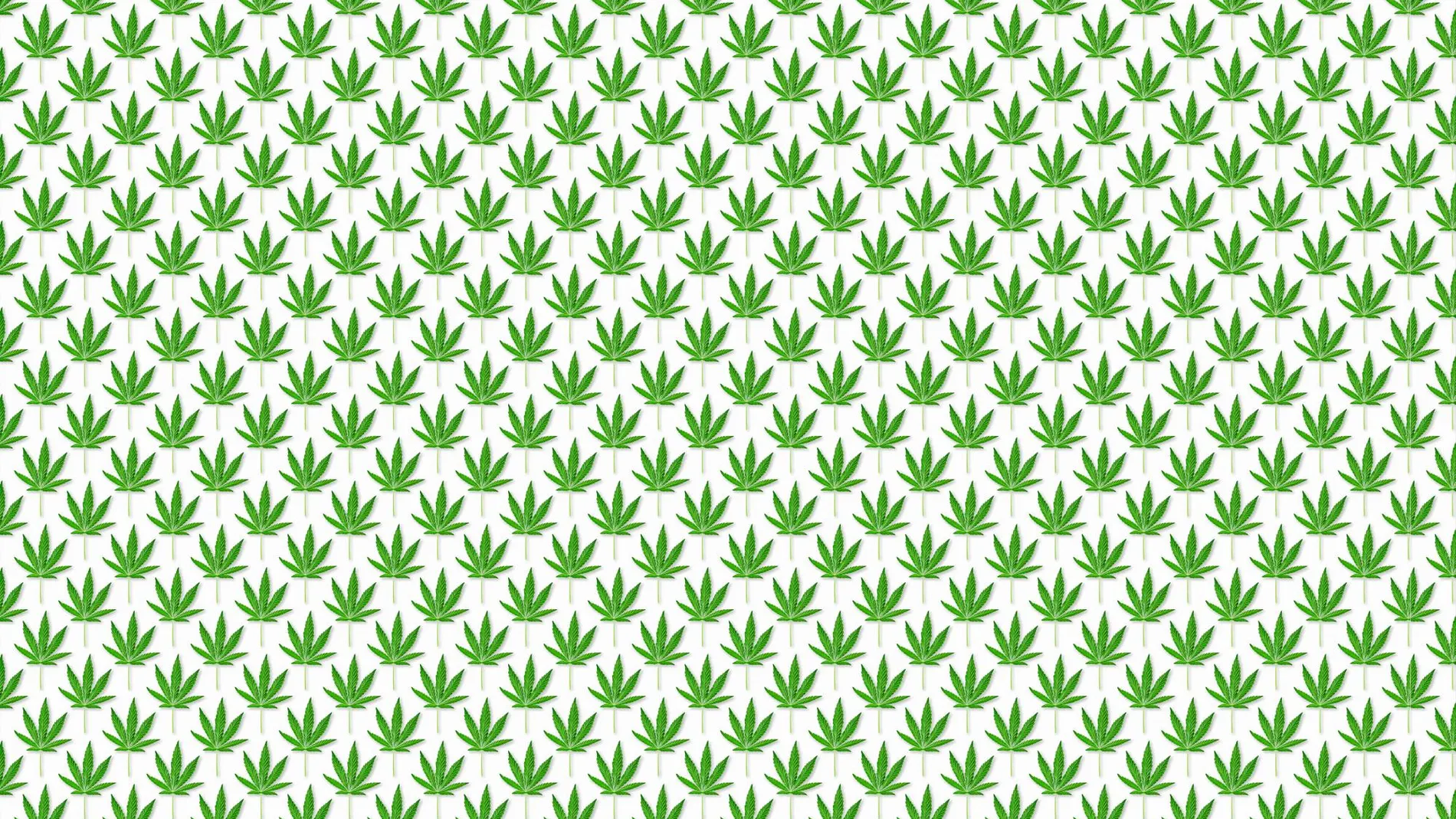 El cannabis ya se utilizaba como medicina hace más de 4.000 años y contiene 489 componentes diferentes.