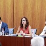 La consejera de Hacienda, ayer, en comisión