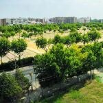 El TS avala el plan del consistorio de Sevilla para los terrenos de la Feria