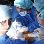  Identifican 350 genes implicados en más de 4.600 tumores