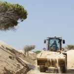 Imagen de la duna de Valdevaqueros, de la que se ha vendido arena a Gibraltar