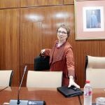 La consejera de Hacienda, Carmen Martínez Aguayo, ayer en el Parlamento