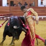 José Tomás dice adiós a la temporada.