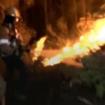 Estabilizado el incendio forestal en El Perelló (Tarragona)