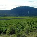 Masía de Porxinos, en Ribarroja del Túria