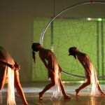 "Metamorphoses"(Frédéric Flamand)
