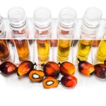 Aceite de Palma: la UE permite su uso en los coches hasta 2030