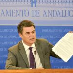 El portavoz del Grupo Popular en el Parlamento de Andalucía, Carlos Rojas