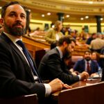 Santiago Abascal, en el Congreso/Foto: C. Pastrano