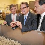 Mas visitó ayer la fábrica Francisco Oller de tapones de corcho para cava y champán