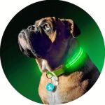 Según los fabricantes de estos dispositivos inteligentes, al año se extravían en el mundo alrededor de diez millones de mascotas