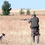 Cazador en la localidad zamorana de Entrala en la apertura de la media veda