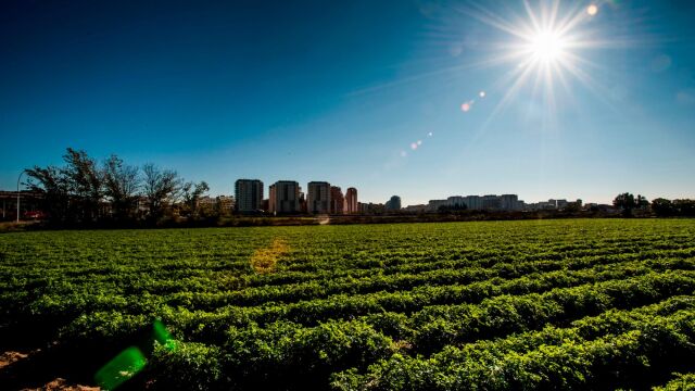 El hombre ofertaba trabajo en el sector agrícola a través de plataformas 'online'.