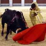 Seis debutantes en las cuatro novilladas de julio en Madrid