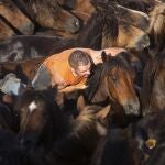 Un aloitador en la lucha por cortar las crines a los caballos salvajes. 