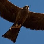 Los 9.000 turistas del cielo