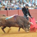 Muletazo por bajo de Manzanares, que cortó una oreja en el festival de ayer en La Maestranza