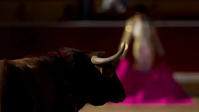 Dolores Aguirre y Partido de Resina completan el mes de junio «venteño» Dolores Aguirre y Partido de Resina completan el mes de junio «venteño»