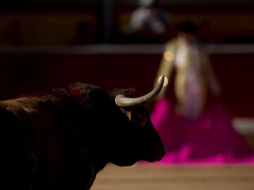 Dolores Aguirre y Partido de Resina completan el mes de junio &laquo;vente&ntilde;o&raquo;