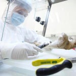 Sala blanca del laboratorio de Paleogenética en Maguncia (Alemania), donde se ha hecho el análisis del ADN óseo
