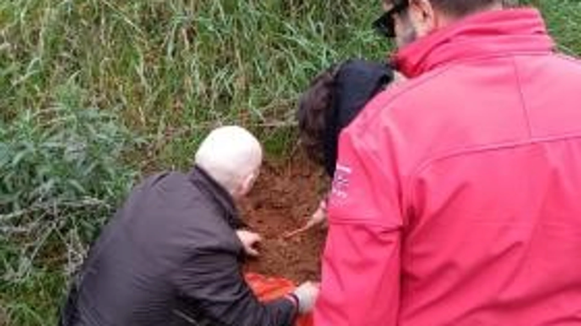 La presencia de mercurio en los suelos, un problema para la efectividad de los antibióticos