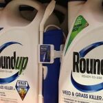 Envases del herbicida Roundup a la venta en California / Reuters