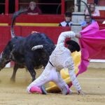 Larga cambiada de Gómez del Pilar a una de sus reses de Peñajara