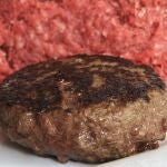 Carne de hamburguesa