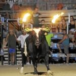 Imagen de un toro «embolat» en Amposta