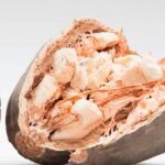 Baobab