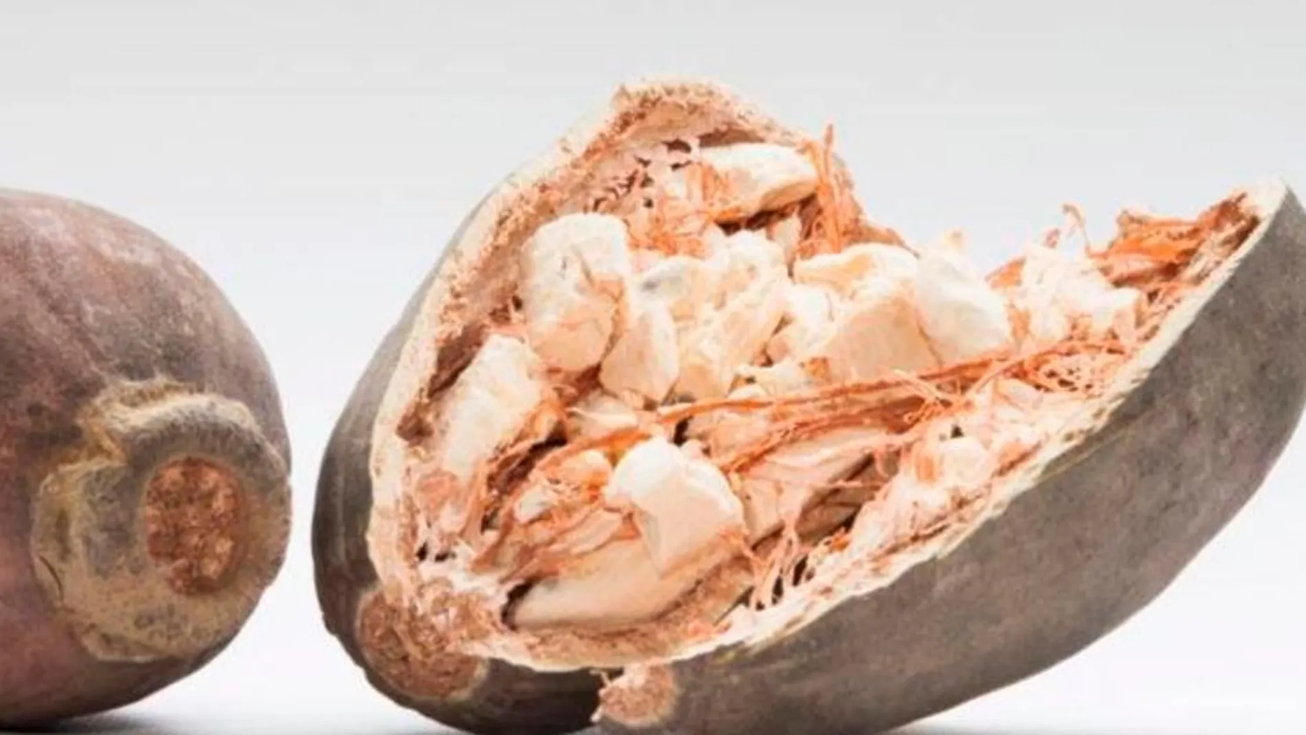 Baobab