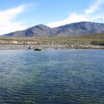Las praderas submarinas árticas y subárticas están creciendo / CSIC