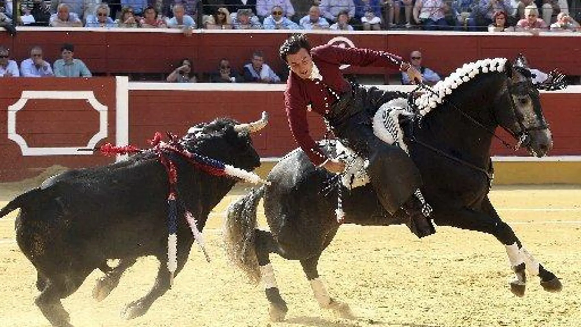 El rejoneador Andy Cartagena, que ha cortado dos orejas, ante su primer toro durante el primer festejo de la feria taurina de Soria