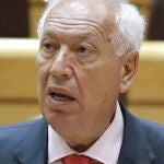El ministro de Asuntos Exteriores y de Cooperación, José Manuel García-Margallo.