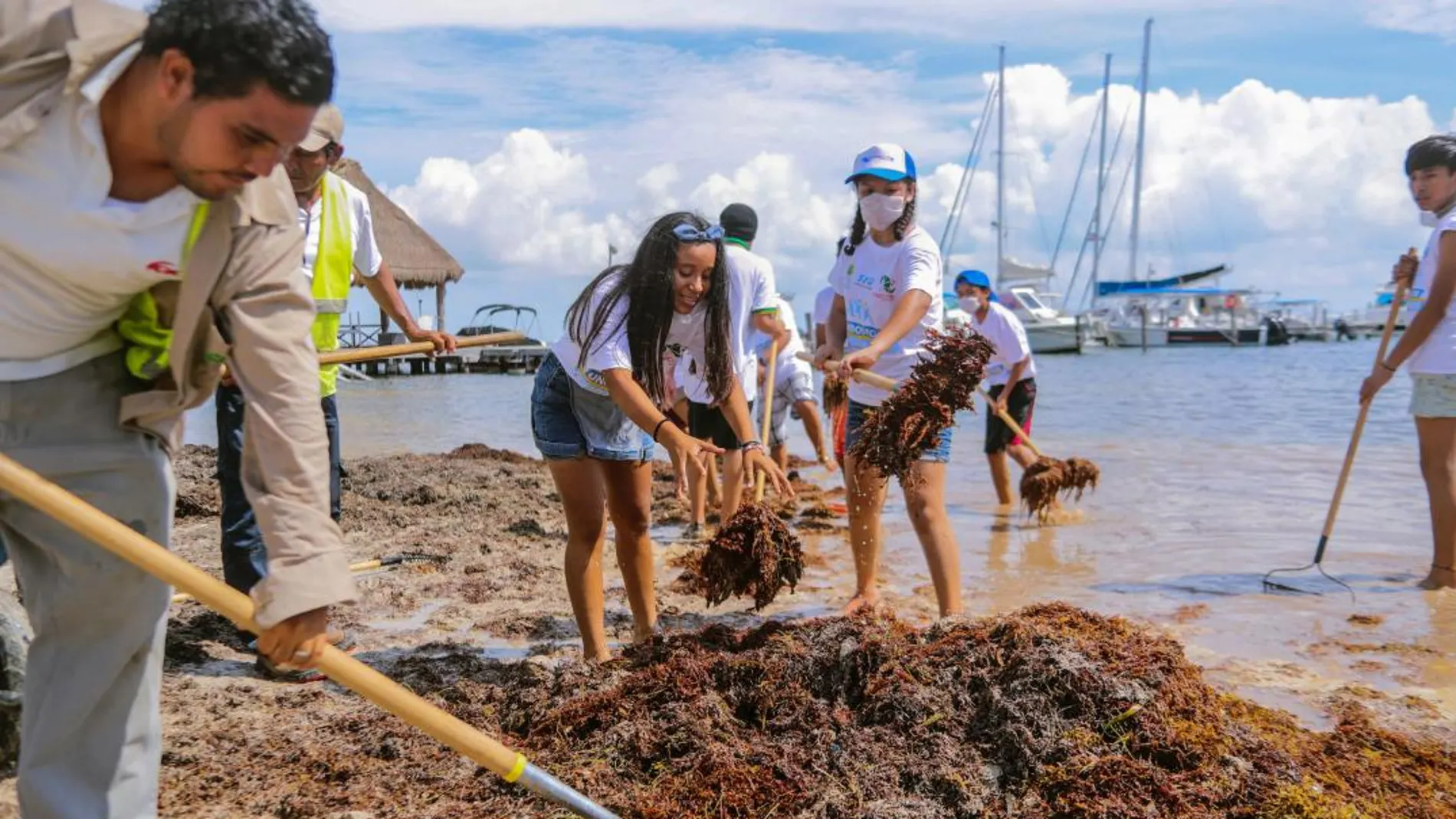 Estudiantes del municipio de Benito Juárez, en el estado de Quintana Roo (México), apoyan la limpieza de sargazo, en las playas de este centro de recreo, el pasado martes / Efe