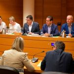 La Mesa del Parlamento fue la encargada de presidir la constitución de la Comisión de Coordinación, organización y Régimen de las Instituciones de la Generalitat, la primera que se crea.
