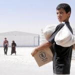 ¿La democracia en Arabia?