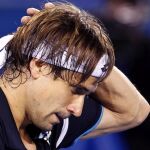 David Ferrer