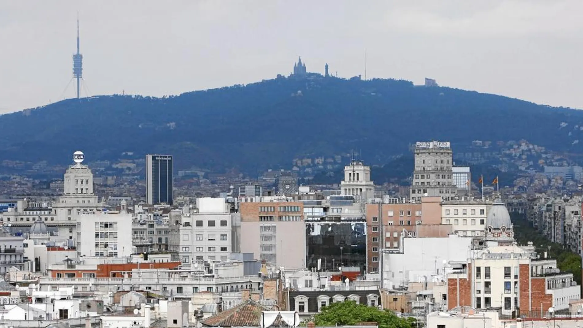 La mayoría de las compañías se concentran en Barcelona y el área metropolitana
