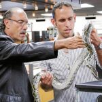 Los propietarios de American Lewelry and Loan, «Empeños a lo bestia», compran y venden los artículos más increibles, como esta serpiente
