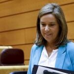 La ministra de Sanidad, Ana Mato