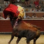 El sexto utrero de Ángel Luis Peña hiere en el muslo a Armillita