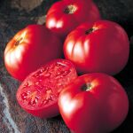 ¿Por qué la fruta no sabe como antes?