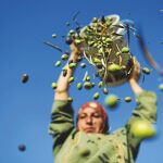 Mujer palestina derramando olivas