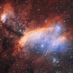 La Nebulosa de la Gamba