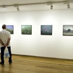 La Fundación Cajasol presenta la exposición ‘Naturaleza en transformación’ de Alwin van der Linde