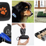 Seis artículos que necesitas para tu perro