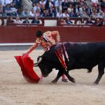 López Chaves, en un derechazo a un Cuadri en Las Ventas / Foto: Luis Díaz