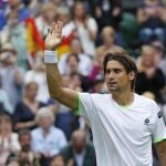 El español David Ferrer