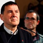 El coordinador general de la coalición EH Bildu, Arnaldo Otegui/Efe